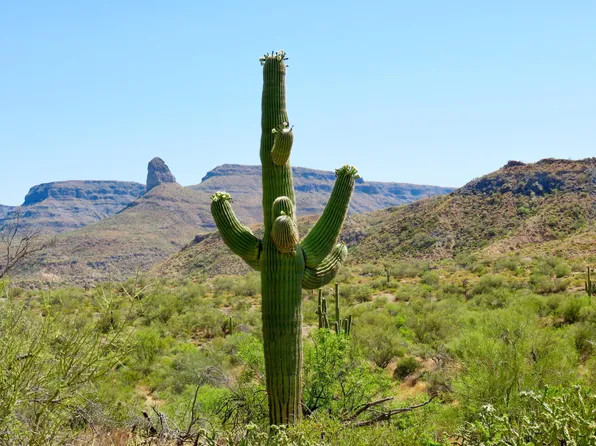 20875 E SQUAW VALLEY Road #MB, Black Canyon City, AZ 85324