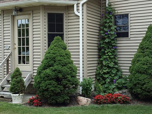 4th image of 4177 Ford Ln