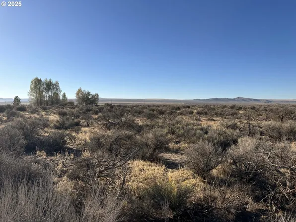 Pinion Ln, Christmas Valley, OR 97641