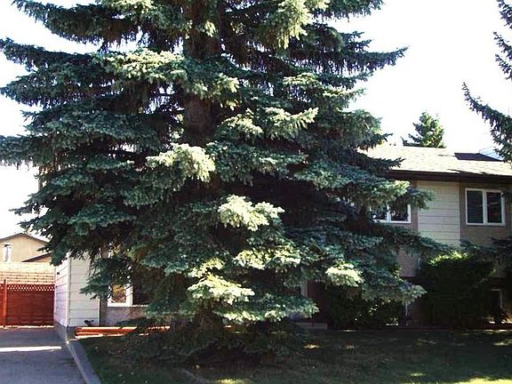 2nd image of 9 W Ray Ave