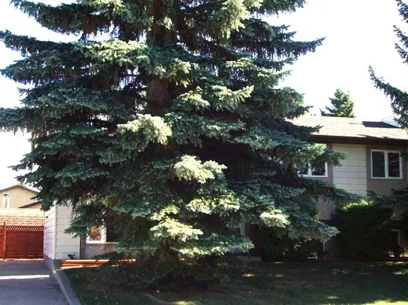 9 W Ray Ave, Red Deer, AB T4P 3B9