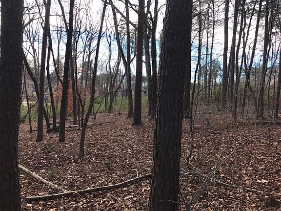 3rd image of 16534 Bastille Dr