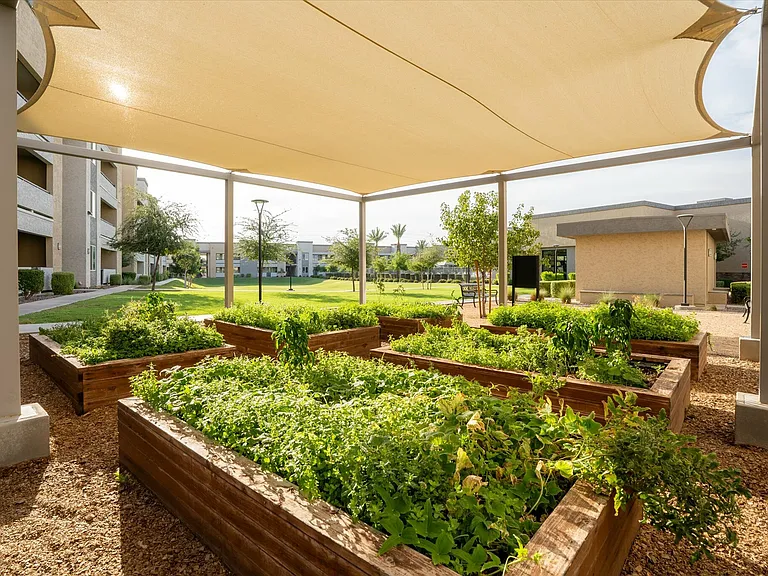 Community Garden