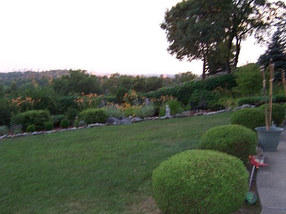 backyard bordering pool