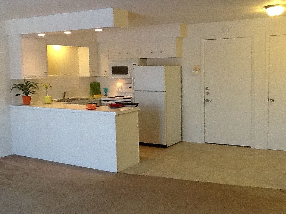 1st image of 2211 Tower Blvd APT 809