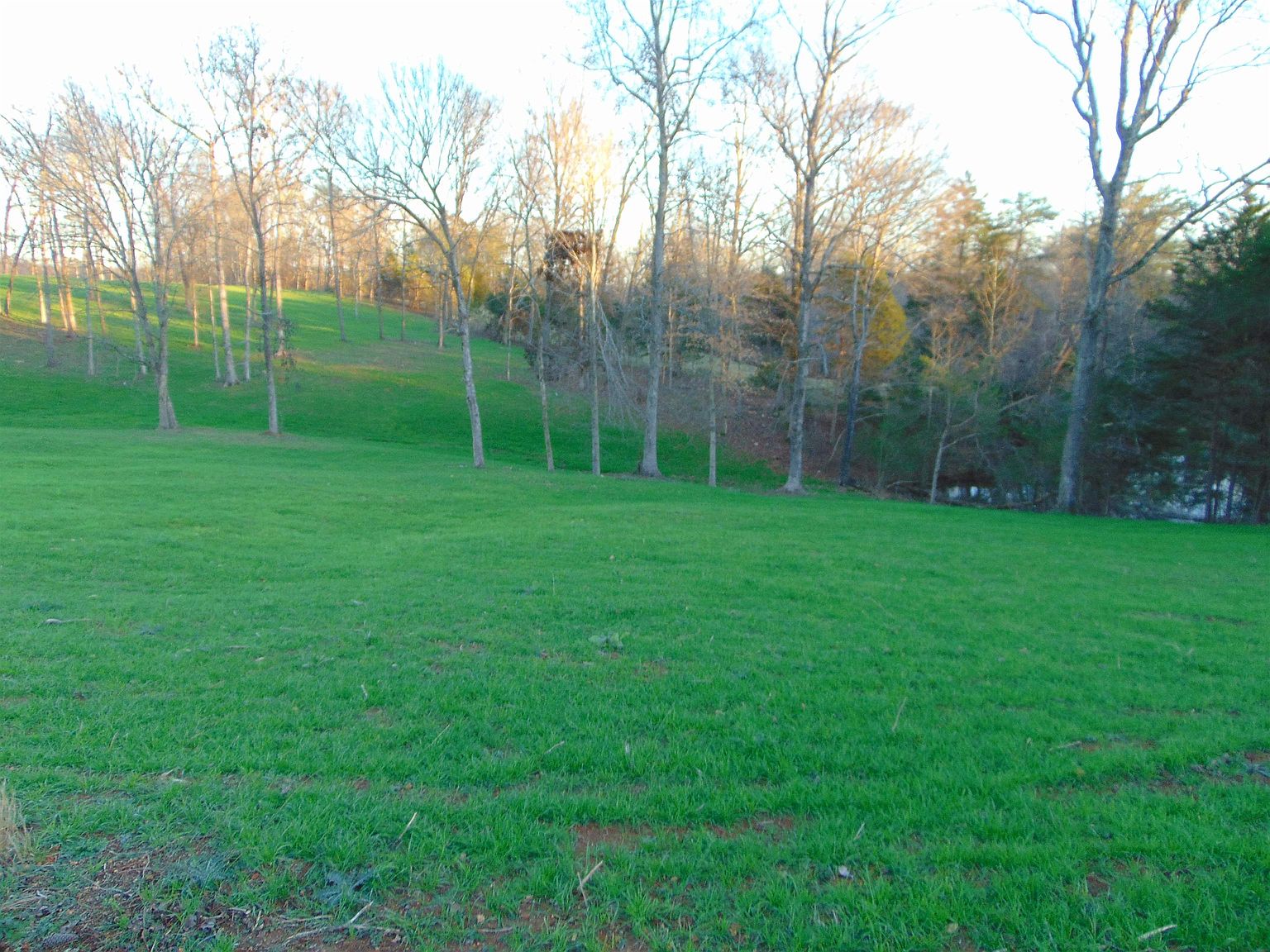 0 County Road 94, Florence, AL 35634 MLS 508906 Zillow