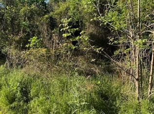 171 Kahana Ln, Bastrop, TX 78602