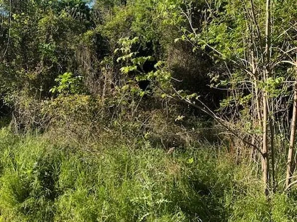 171 Kahana Ln, Bastrop, TX 78602