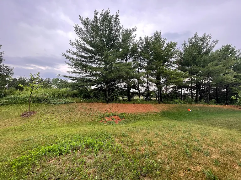 back yard