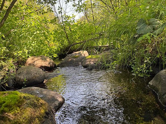 2nd image of N11301 Lagoon Ln