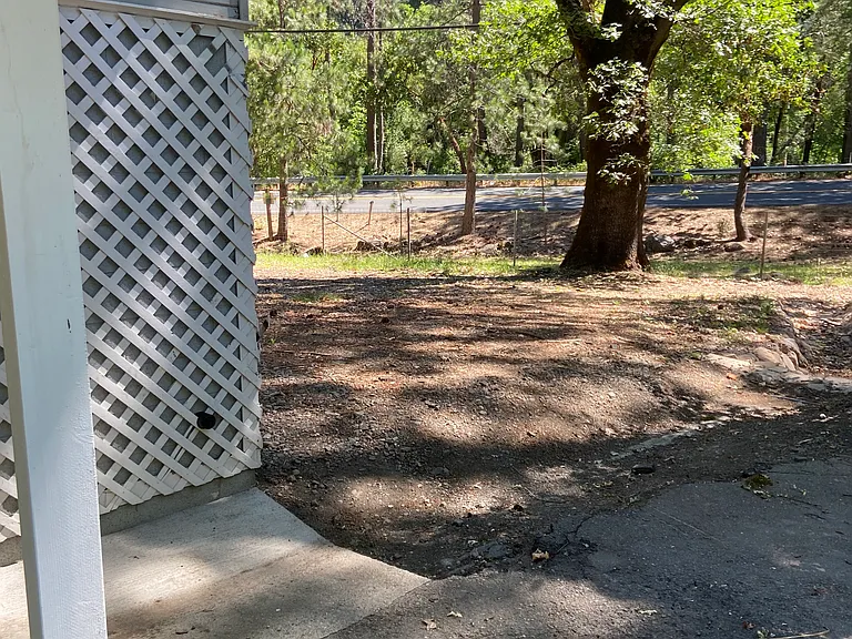 Forest Lake Dr — Photo 5