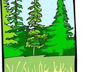 100 Old Water Plant Rd, Albertville, AL 35951