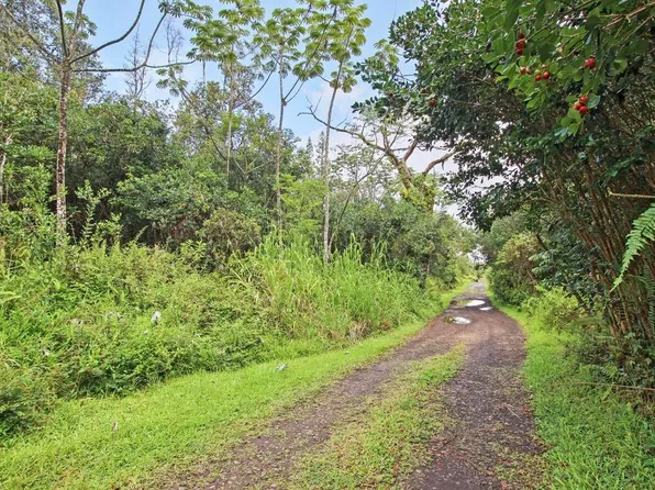 Road 11 Pulelehua Lot 5994, Kurtistown, HI 96760