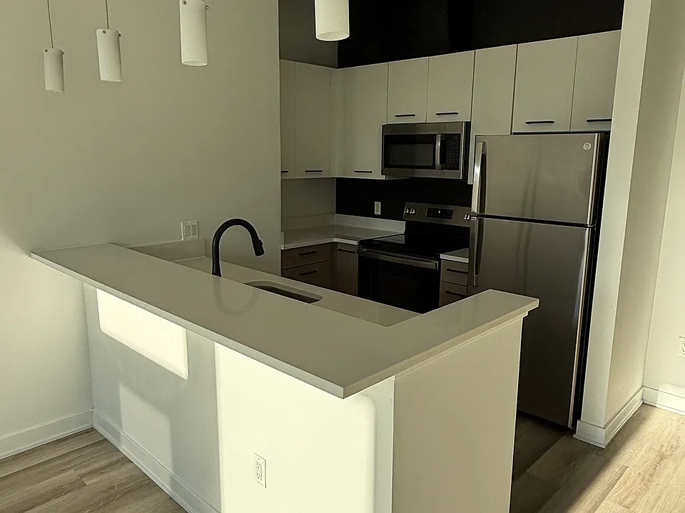 1148 S Washington Ave #310