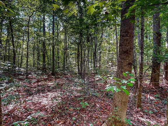 2nd image of 0 Cypress Harbor Ct Lot 13