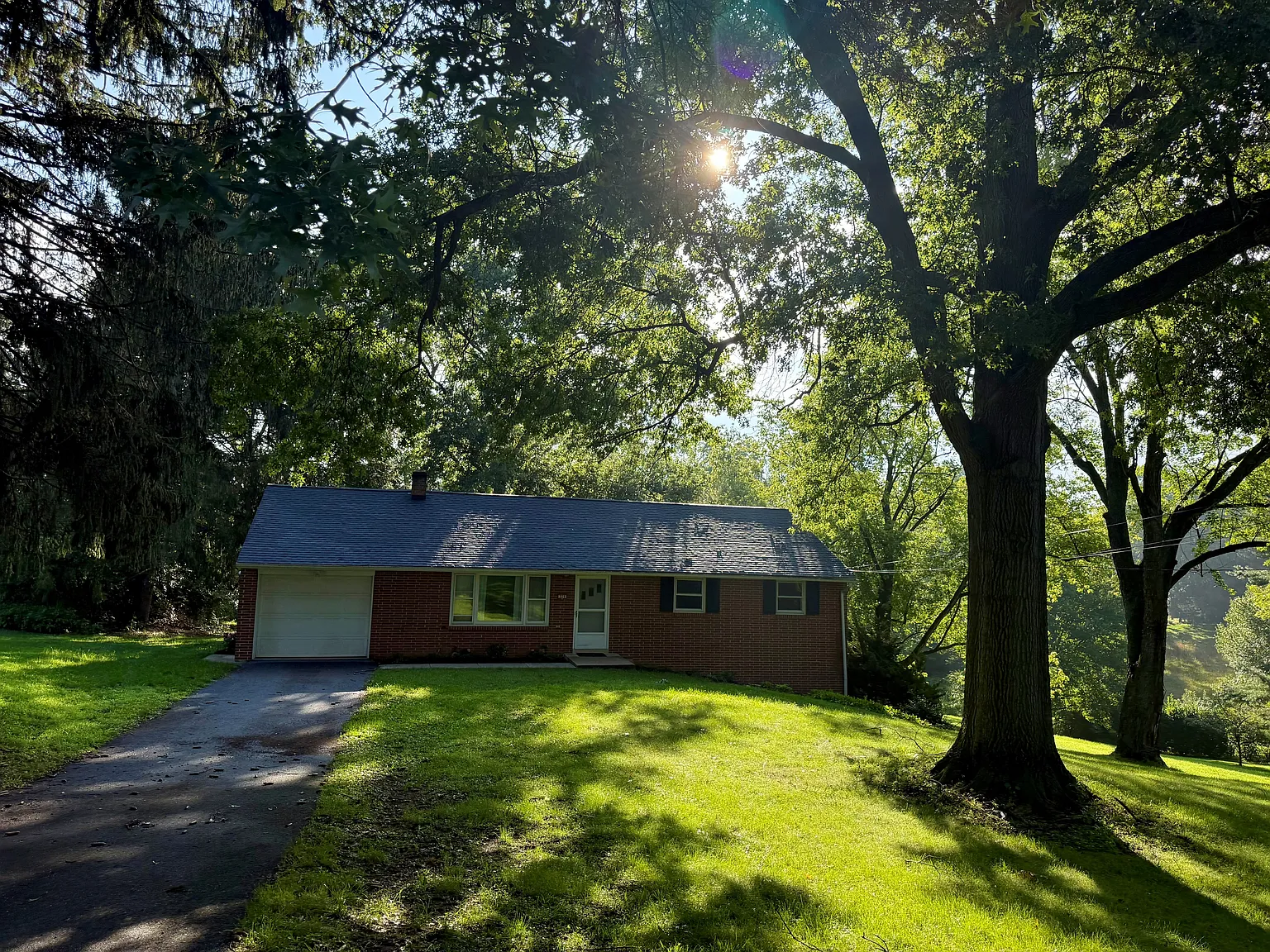 3 bed, 1218 sqft, $2,600 — Photo 3