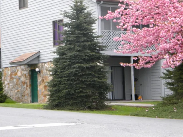 467 Kellwood Dr, Boone, NC 28607