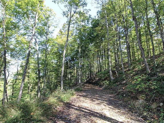 4th image of LOT 1 Brooks Rd