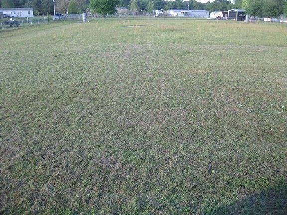4th image of 199 E Gate Cir