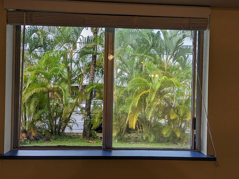 Garden view!