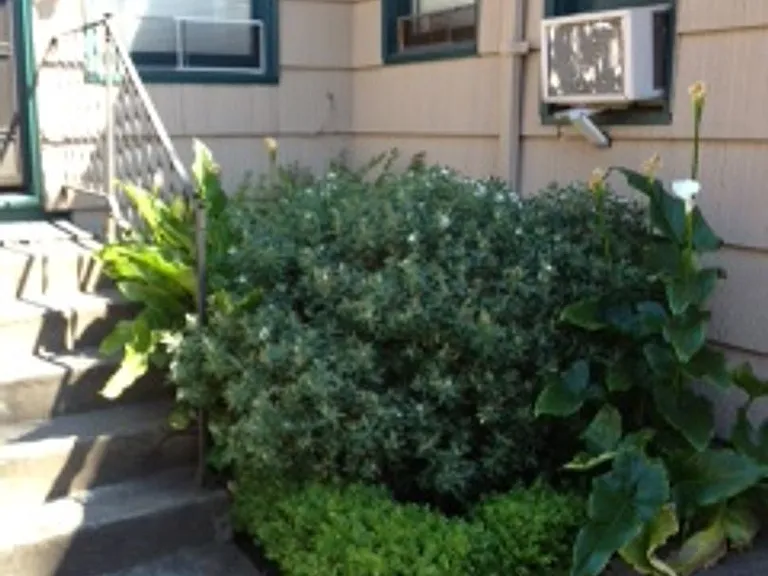 406 Summit Ave E — Photo 12
