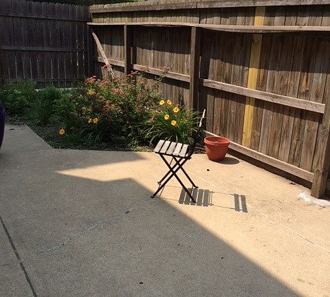 4th image of 1238 W Albion Ave APT 1