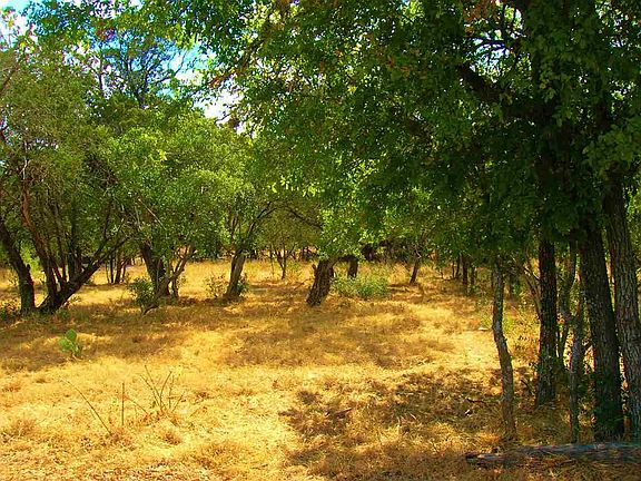 3rd image of Birch Ln