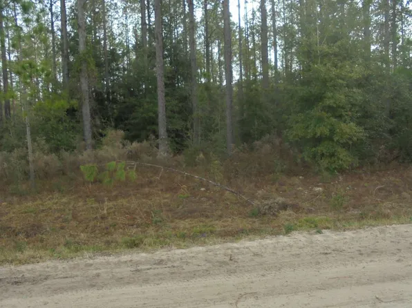 NE Jasmine Ter, Lee, FL 32059