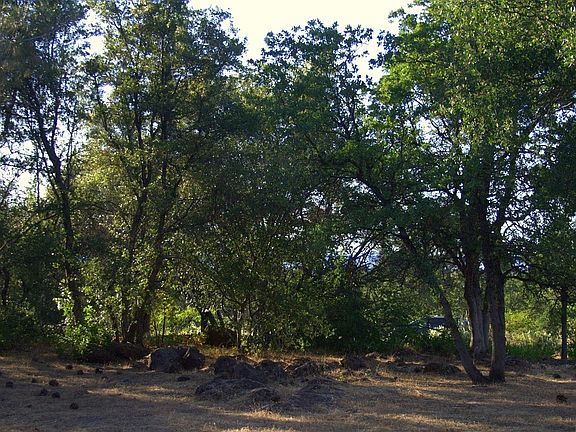 3rd image of 27100 Lack Creek Dr