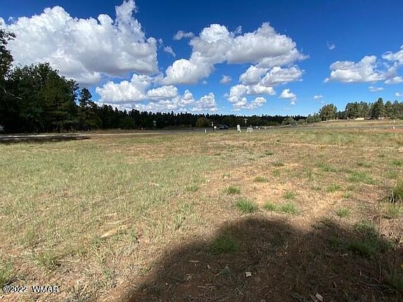4th image of 1721 S Torreon Lakes Dr