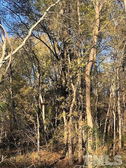 2nd image of Old Pleasant Dr Lot 21