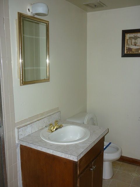 Hall bath downstairs
