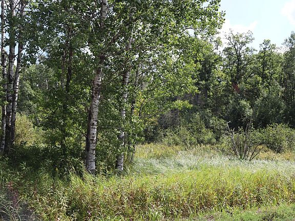 5th image of Little Oak Lake Rd