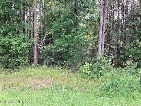 3rd image of LOT 33 Pine Crest Rd