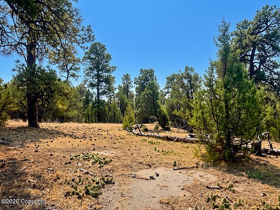 2nd image of Coyote Dr