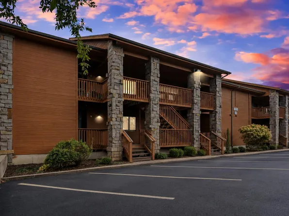 161 Avondale Drive Apt 1, Branson, MO 65616