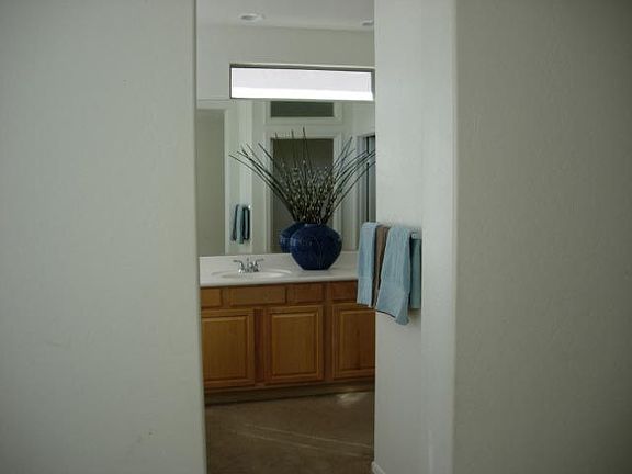 Master Bath has a raised vanity with dual sinks, soaking tub & separate shower