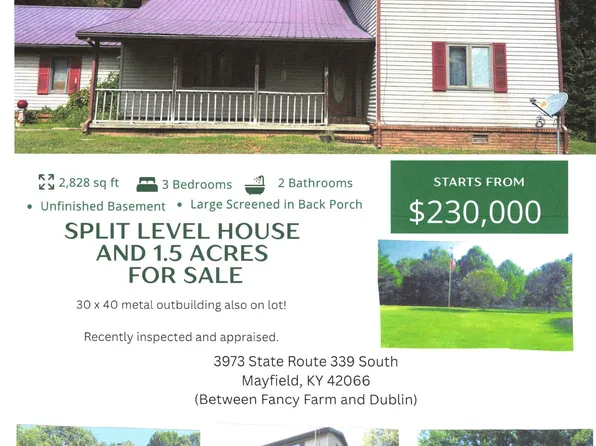 3973 State Route 339 S, Mayfield, KY 42066