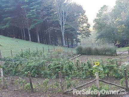 Access road to house off main road
						:
						Beautiful, tree-lined drive.