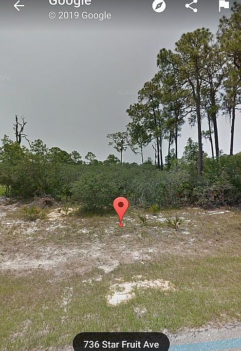 1st image of 736 Star Fruit Ave