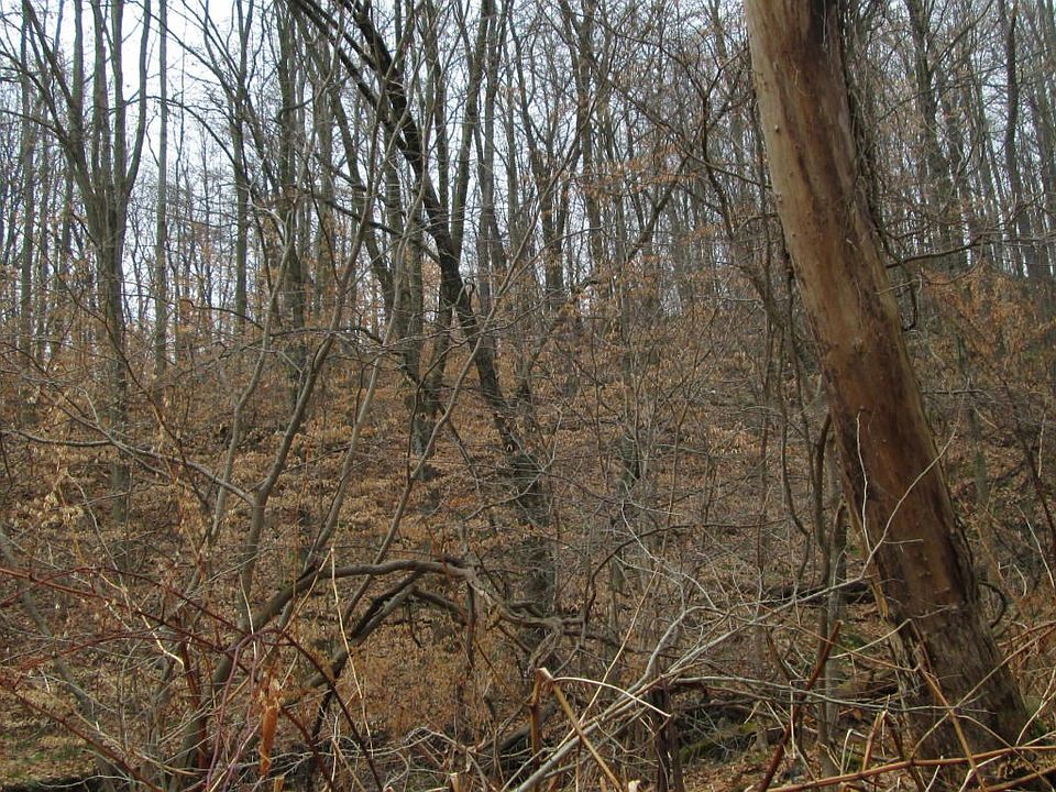 land 4