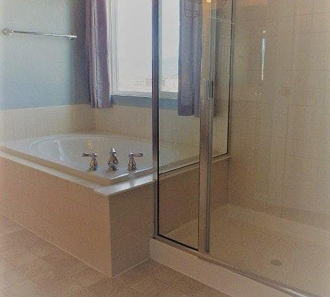 Master Shower & Soak Tub
