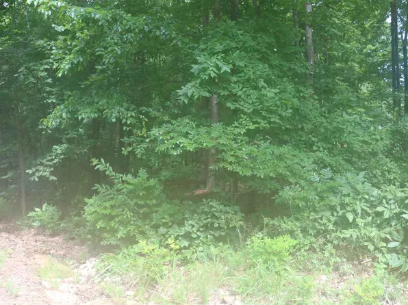 Ymca S Muscatel, Counce, TN 38326