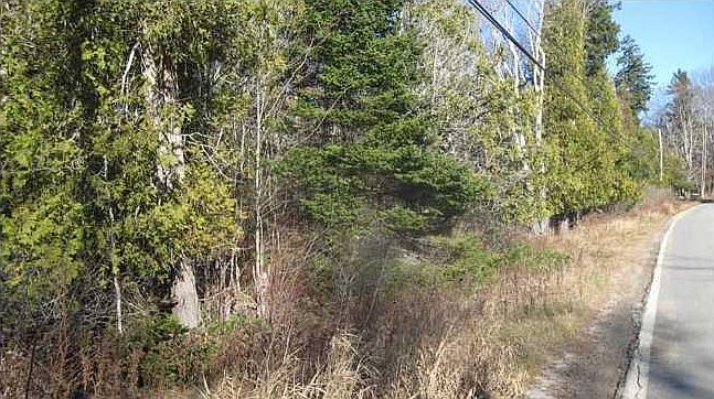 2nd image of 0000 Castine Road, Rt 166
