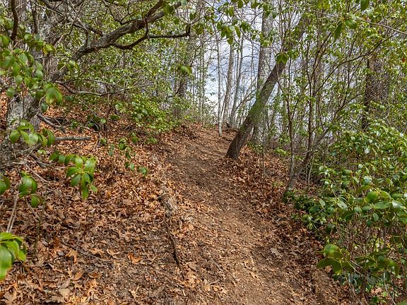 5th image of Lot 55 Cullowhee Forest Road