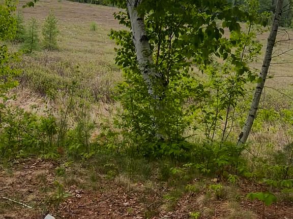 5th image of 4422 Bennoch Road