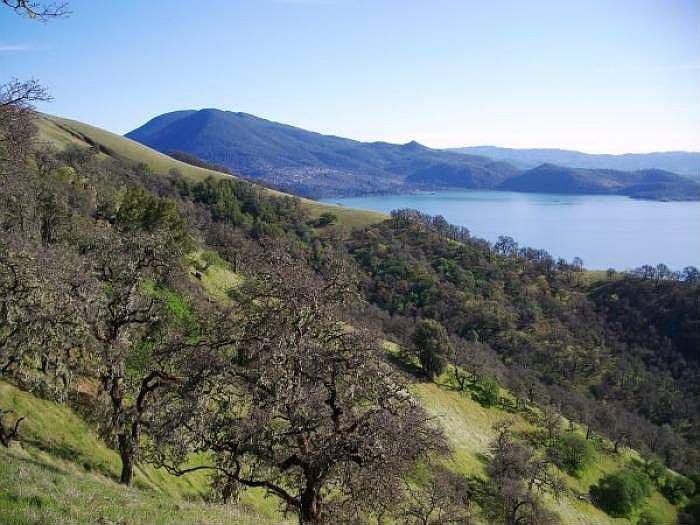 Views of the Lake