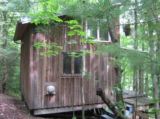 Tyler Hollow Rd, Spencer, NY 14883