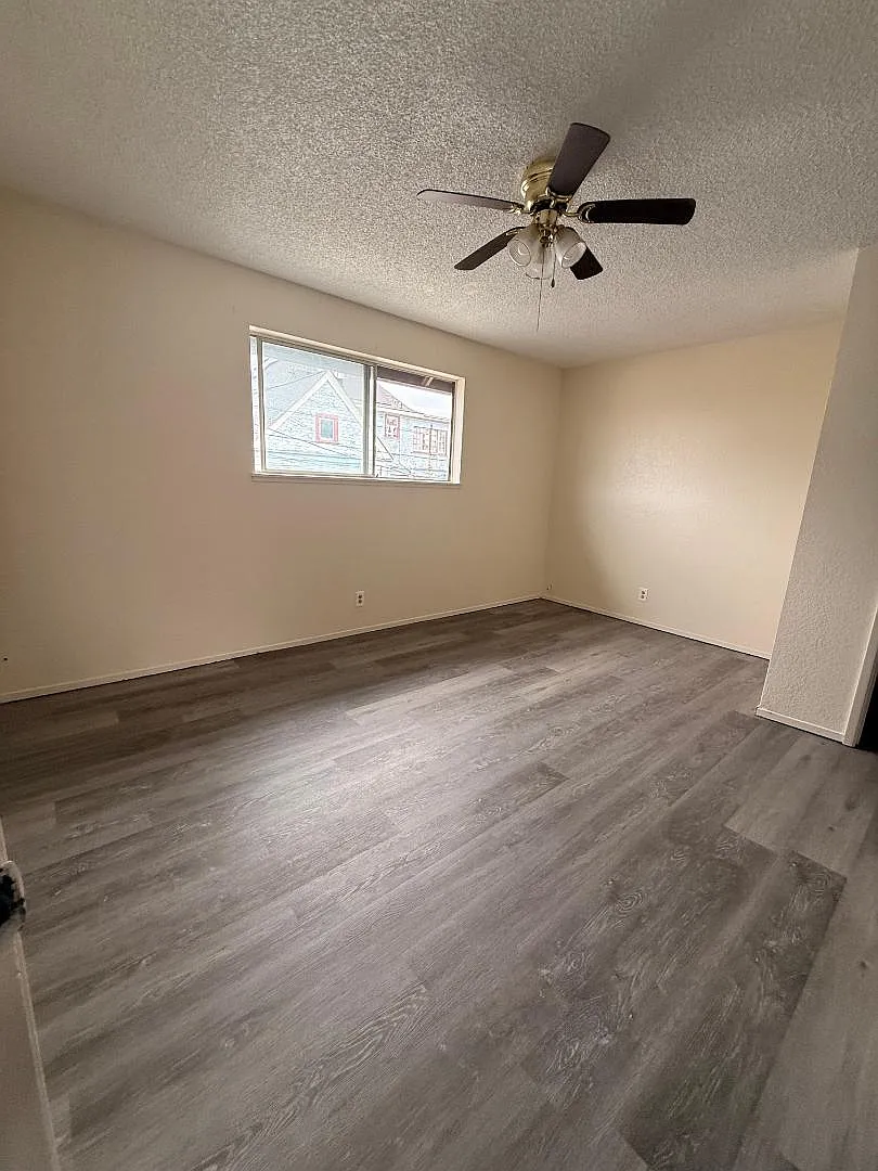 1 bed, $1,250 — Photo 3