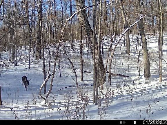 5th image of 20 Acres McCasland Rd